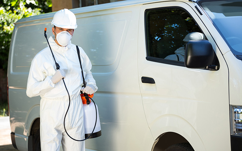 Pest Control in Lancaster, SC